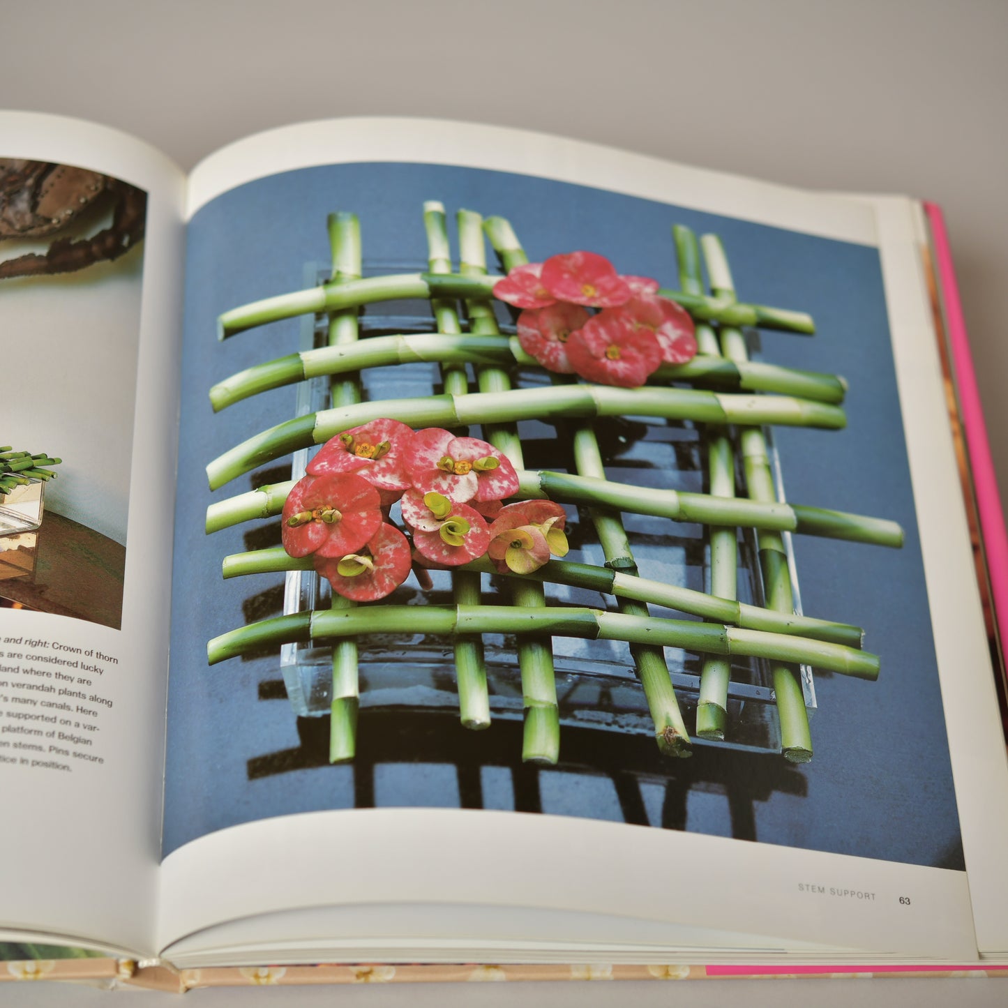 Tropical Colors The art of living with tropical flowers
