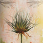Papyrus Paintings Wall Hanging Art